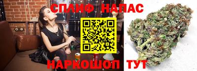 амф Кимры