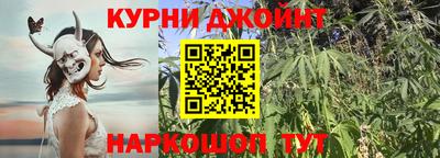 гидра Кинель