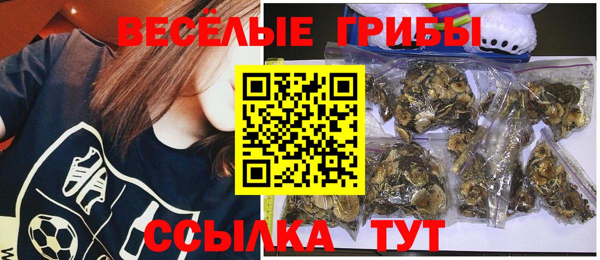 Галлюциногенные грибы мухоморы Кудымкар